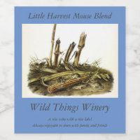 Eastern Harvest Mouse or Little Harvest Mouse