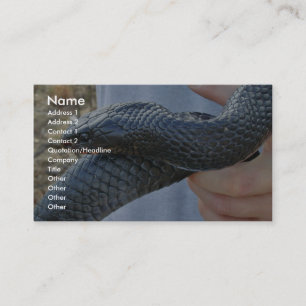 Eastern indigo snake (Drymarchon corais couperi) Business Card