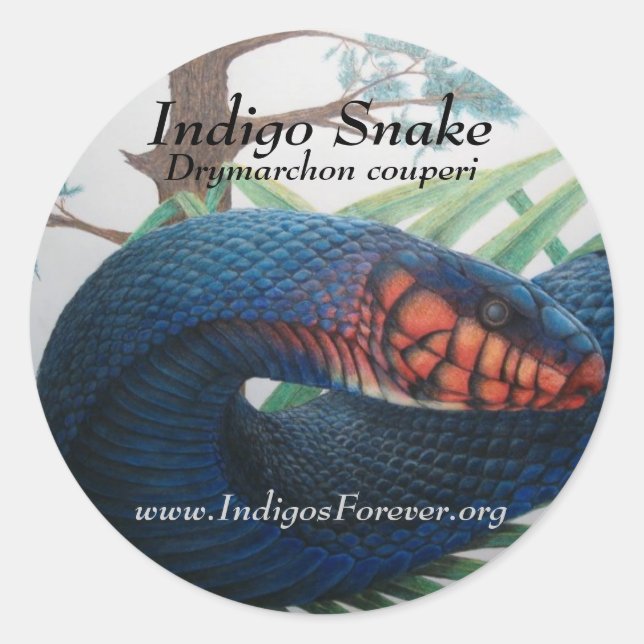 Eastern Indigo Snake Stickers (Front)