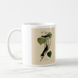 Eastern Kingbird from Audubon's Birds of America Coffee Mug