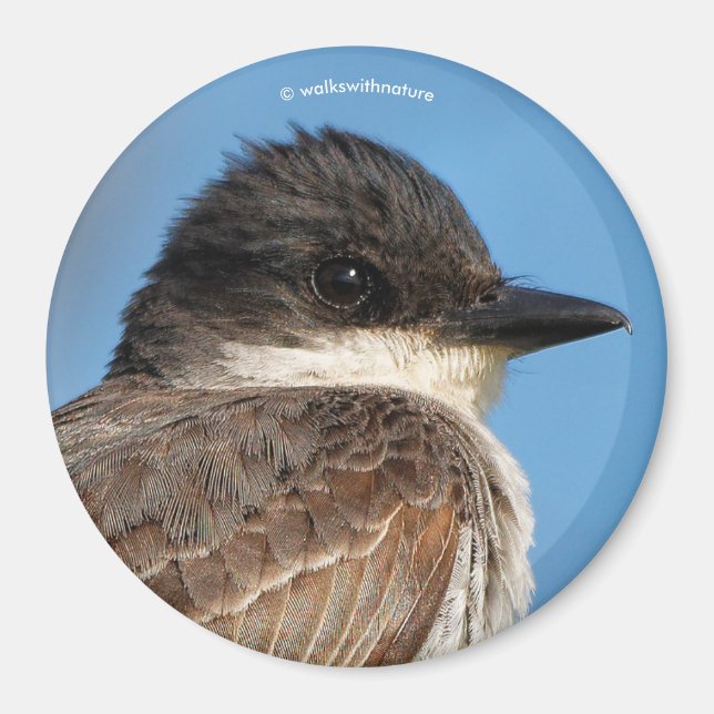 Eastern Kingbird on a Branch Magnet (Front)