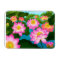 Eastern Lotus Water Garden Premium Magnet