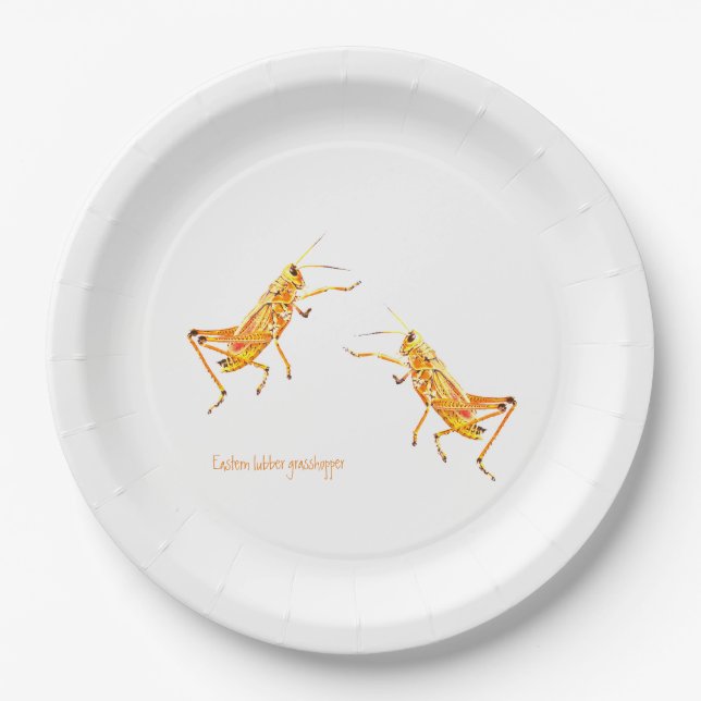 Eastern lubber grasshopper    paper plate (Front)