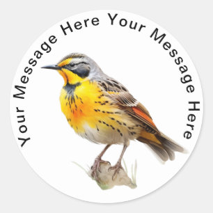 Eastern Meadowlark Classic Round Sticker