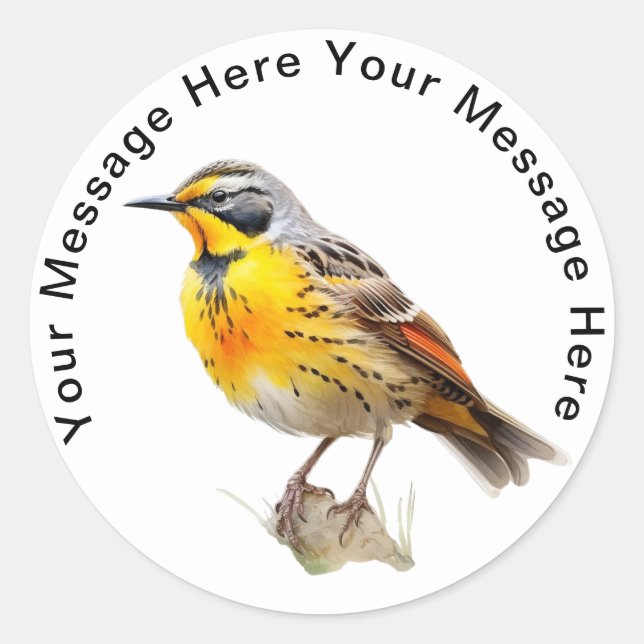 Eastern Meadowlark Classic Round Sticker (Front)