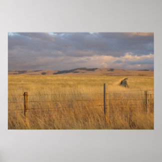 Eastern Oregon at Dusk Poster