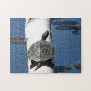 Eastern Painted Turtle Sitting on Birch Jigsaw Puzzle