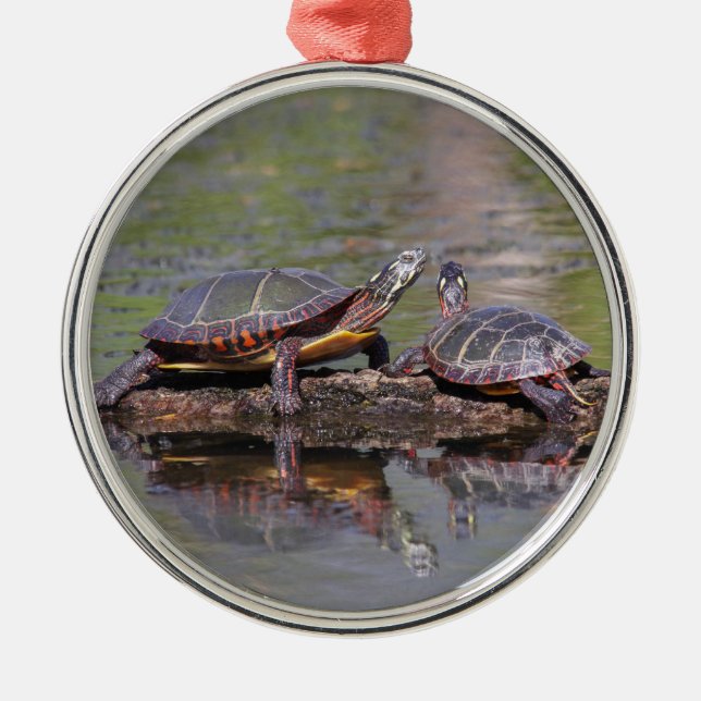 Eastern Painted Turtles Metal Tree Decoration (Front)