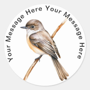 Eastern Phoebe  Classic Round Sticker