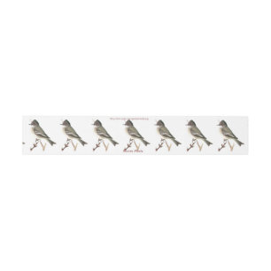 "Eastern Phoebe" Invitation Belly Band