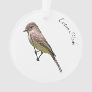 Eastern Phoebe Ornament