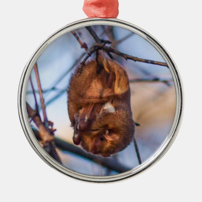 Eastern Red Bat Metal Tree Decoration (Front)