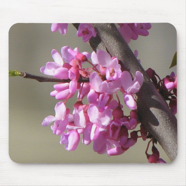 Eastern Redbud Blooms Mouse Mat (Front)