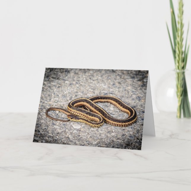 Eastern Ribbon Snake (Garter Snake) Holiday Card (Front)