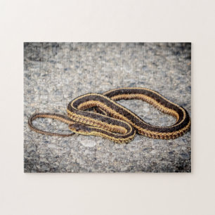 Eastern Ribbon Snake (Garter Snake) Jigsaw Puzzle