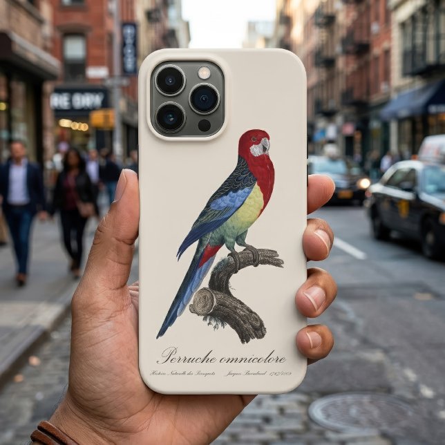 Eastern rosella or Platycercus eximius parakeet Case-Mate iPhone Case (Eastern rosella or Platycercus eximius parakeet. iPhone Case)
