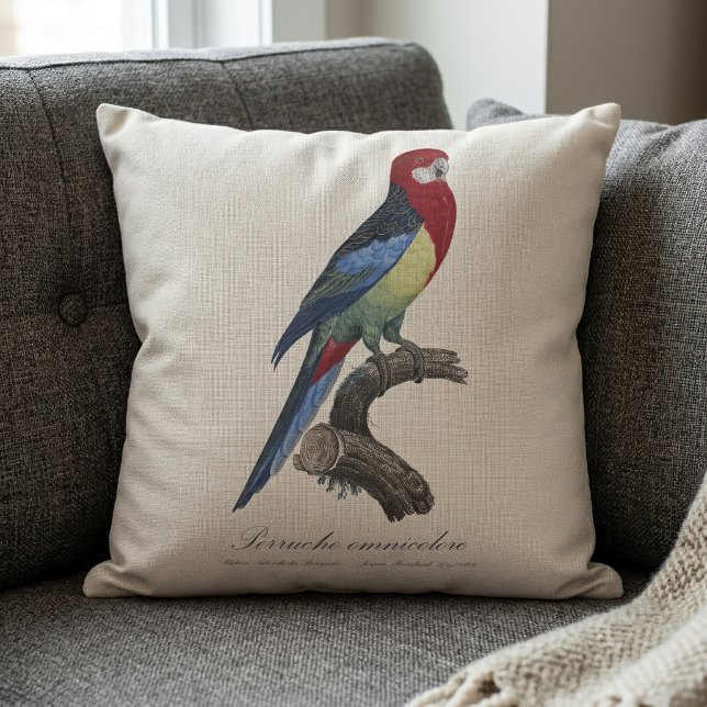 Eastern rosella or Platycercus eximius parakeet Cushion (Eastern rosella or Platycercus eximius parakeet. Throw Pillow)