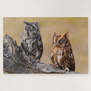 Eastern Screech Ow Roosting in Tree Jigsaw Puzzle
