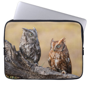 Eastern Screech Ow Roosting in Tree Laptop Sleeve