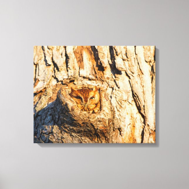Eastern Screech-Owl Canvas Print (Front)