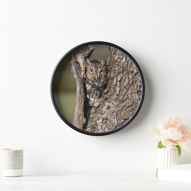 Eastern Screech Owl Clock (Home)