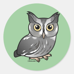 Eastern Screech Owl (Grey Phase) Classic Round Sticker