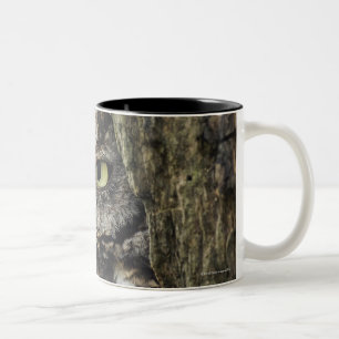 Eastern Screech Owl (Grey Phase) Otus asio Two-Tone Coffee Mug