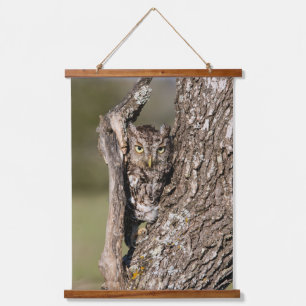 Eastern Screech Owl Hanging Tapestry