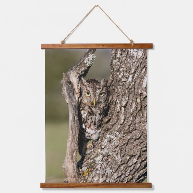 Eastern Screech Owl Hanging Tapestry (Front)
