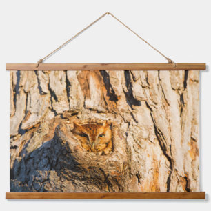 Eastern Screech-Owl Hanging Tapestry