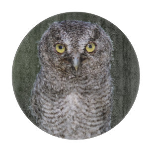 Eastern Screech-Owl, Megascops asio, Otus 2 Cutting Board