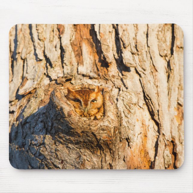 Eastern Screech-Owl Mouse Mat (Front)