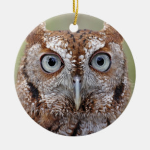 Eastern Screech Owl Photograph Ornament