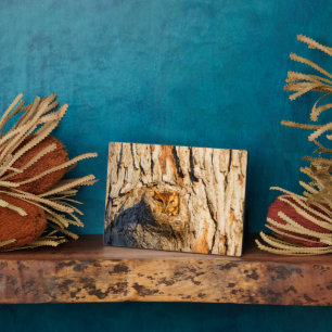 Eastern Screech-Owl Plaque