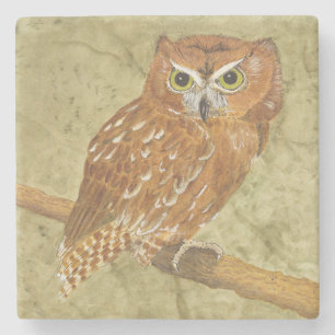 Eastern Screech Owl Stone Coaster