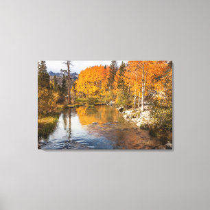 Eastern Sierra, Bishop Creek, California Outlet Canvas Print