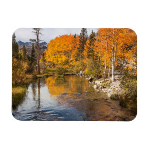 Eastern Sierra, Bishop Creek, California Outlet Magnet