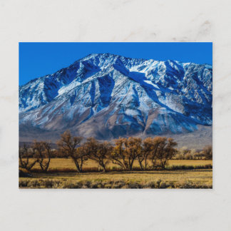 Eastern Sierra Nevada Fall - Bishop - Californa Postcard