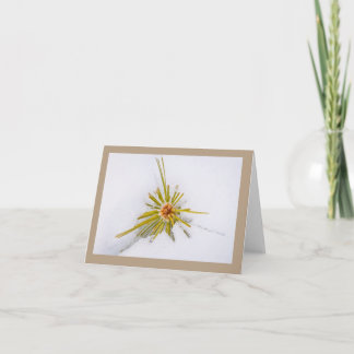 Eastern Sierra Snapshots Note Cards