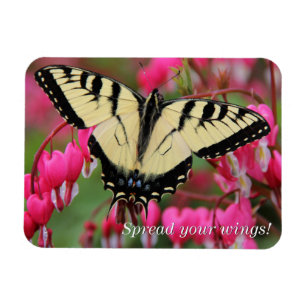 Eastern Swallowtail 2 Magnet