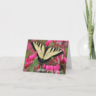 Eastern Swallowtail Holiday Card