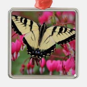 Eastern Swallowtail Metal Tree Decoration