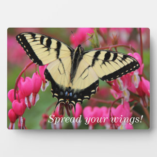 Eastern Swallowtail Plaque