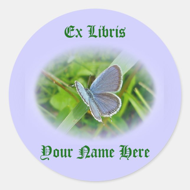 Eastern Tailed Blue Butterfly Coordinating Items Classic Round Sticker (Front)