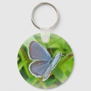Eastern Tailed Blue Butterfly Coordinating Items Key Ring