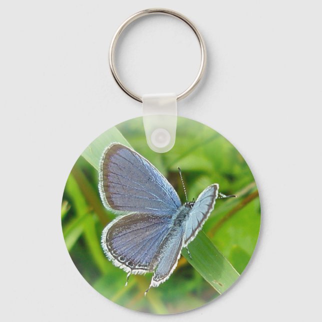 Eastern Tailed Blue Butterfly Coordinating Items Key Ring (Front)