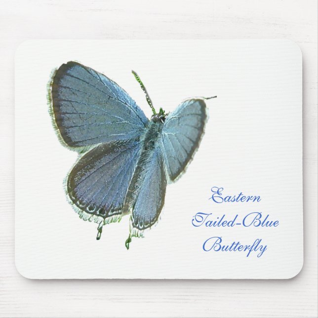 Eastern-Tailed Blue Butterfly Mouse Mat (Front)