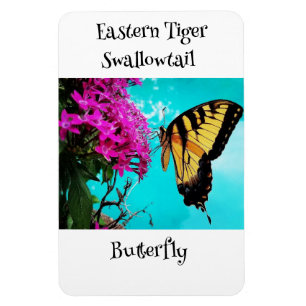 Eastern Tiger Swallowtail Butterfly #2 Magnet