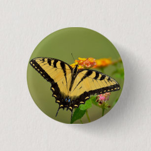Eastern Tiger Swallowtail Butterfly 3 Cm Round Badge