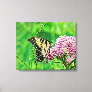 Eastern Tiger Swallowtail Butterfly Canvas Print